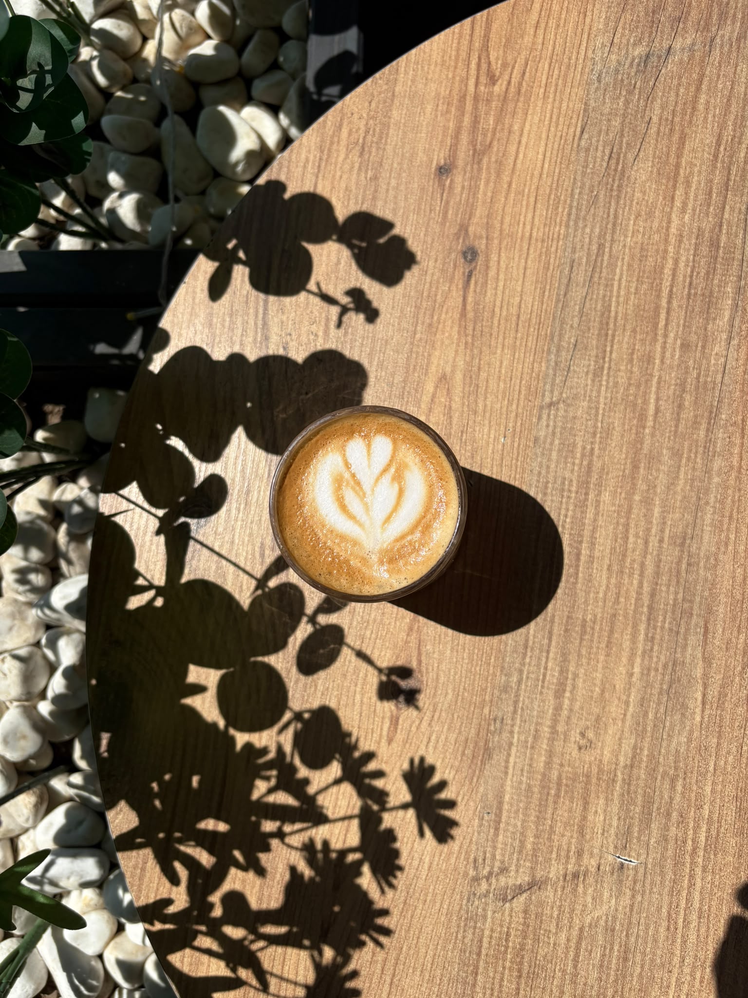 No111 Flat White